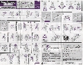 Galvatron hires scan of Instructions