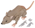 Picture of Rattle (Rattrap)