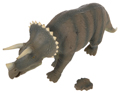 Triceratops Image