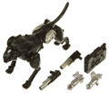Picture of Covert Agent/Decepticons Forever Ravage