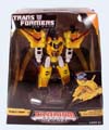 Boxed Sunstorm (War Within) Image