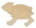 Premutant Turtle Image