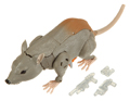 Picture of Rattrap